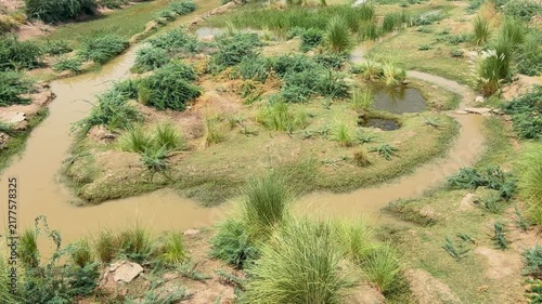 A captivating view of a natural, unlined drain. 4k video