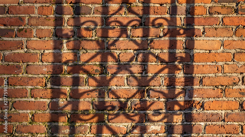 This evocative image captures alluring shadows cast on a rustic brick wall, emphasizing a blend of textures that provoke curiosity and contemplation of depth.