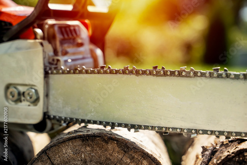 Fotografía Sunlight glints off a chainsaw blade