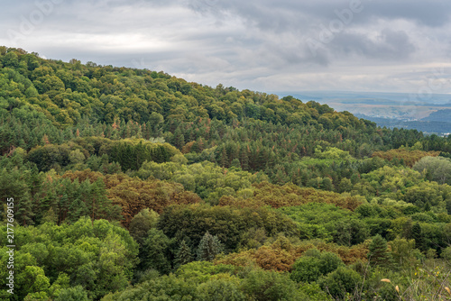 Summer Mountains Landscape with Green forest.