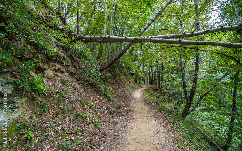 Obraz premium Curve road to the mountains. Scenic dirt road with mountain range.