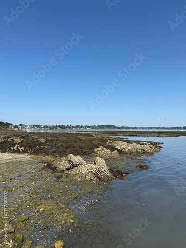 Fotografía Île-aux-Moines, Morbihan, Bretagne, France