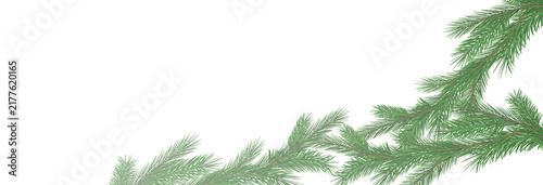 Fotografie Garland of spruce branches
