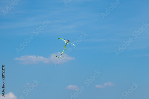 Cuadro en lienzo Kite toy in flight, its black and green pattern contrasting with a scenic blue s