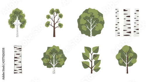 Collection of stylized birch trees and bark patterns in a flat design style