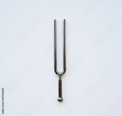 Quadro su tela Metal fork for tuning the instrument