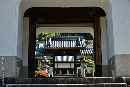 Obraz na płótnie 山門から望む興聖寺