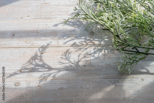 Foto Silvery herb foliage casts delicate shadows on a whitewashed wooden table, with generous copy space for text