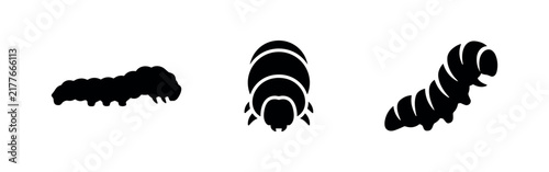 Bild auf Leinwand Caterpillar insect icons set in different perspectives