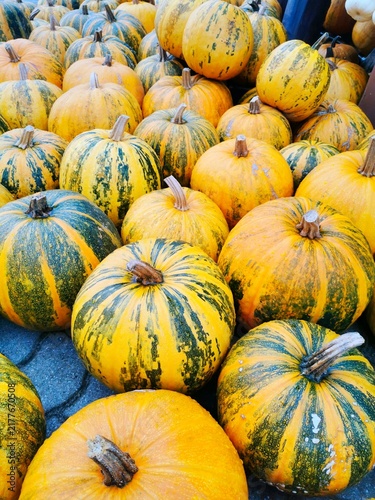 Bild auf Leinwand Fresh, ripe yellow and green pumpkins at the market, autumn harvest