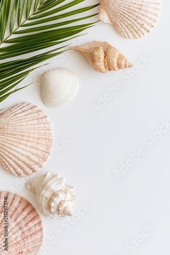 Tropical palm leaf and assorted seashells arranged along the edge of a clean white background with generous copy space