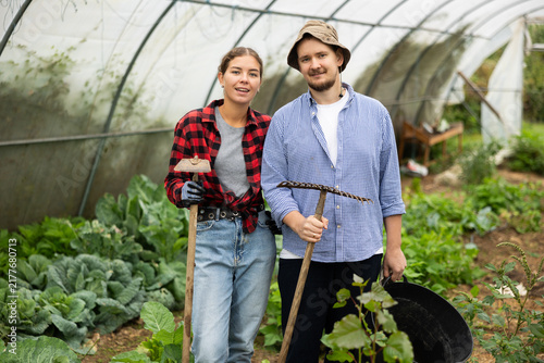 Cuadro en lienzo Farmer peasant woman and man works with garden plants in greenhouse