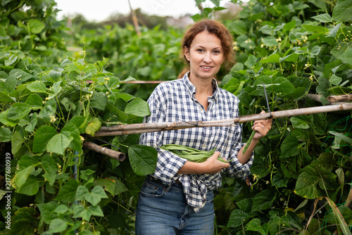 Obraz na płótnie Lot of ripe beans barely fit in hands of young woman
