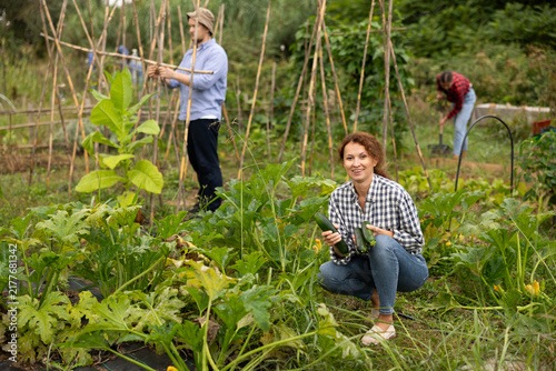 Canvastavla Lot of ripe zucchini barely fit in hands of young woman