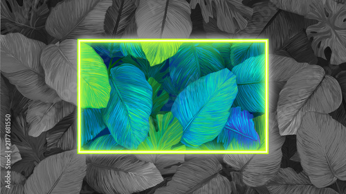 Monochromatic black and white tropical leaves pattern with glowing green neon frame revealing vibrant colored foliage center