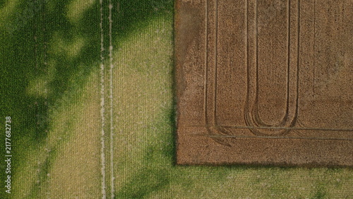 Aerial field picture view texture