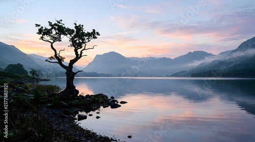 A solitary tree stands on the rocky shore of a calm lake during a beautiful misty sunrise