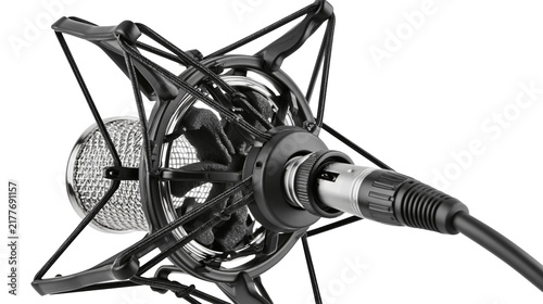 Canvas Print Isolated modern professional studio microphone with shock mount and XLR cable fo
