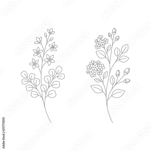 Elegant botanical line art illustration of delicate flowering branches, perfect for artistic and decorative use