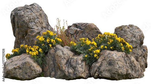 Konstfotografi Isolated natural rock formation adorned with vibrant yellow flowers and wild gre