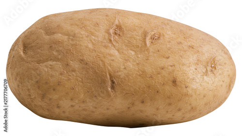 Bild auf Leinwand Isolated fresh raw whole unpeeled brown potato with natural skin texture, health