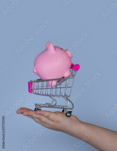 Foto Piggy bank inside shopping cart