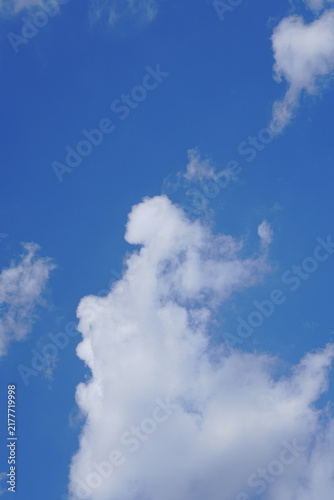 Bright blue sky with large fluffy white cumulus cloud