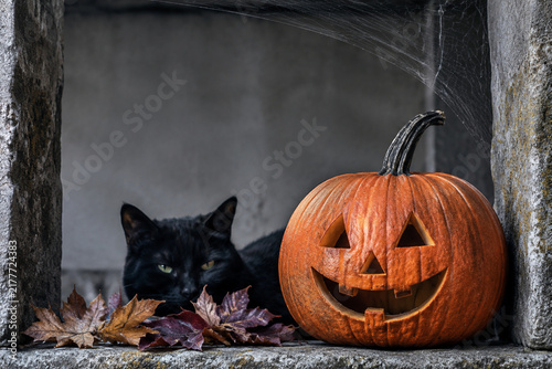 Carved pumpkin on stone ledge with autumn leaves, black cat, spider web, Halloween scene
