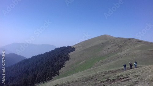 Bedani Bugyal on the way to Roopkund Trail , trekker use to hold there for day .
