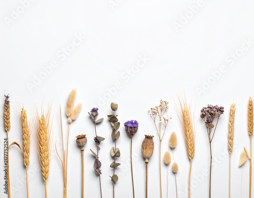 dried flowers