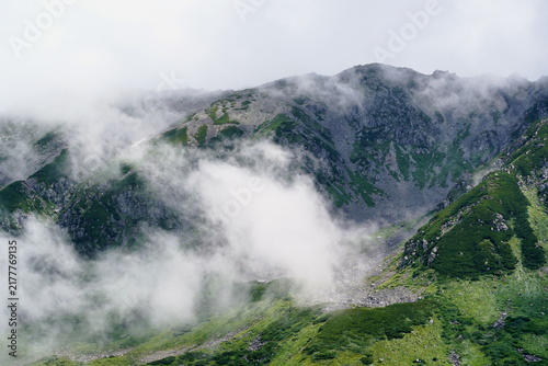 Obraz na płótnie 日本の高山地帯で見られる夏山と雲が入り混じる雄大な景色。岩肌が露出した山腹に霧が流れ込み、緑豊かな高山植物が広がる神秘的で壮大な自然の風景。