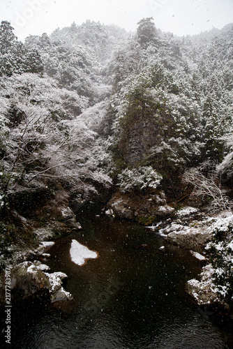 冬の深淵