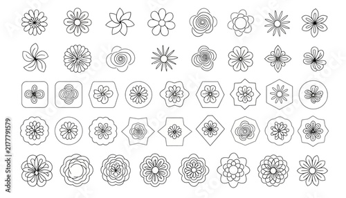 Collection of Line Art Floral Icons on Transparent Background, Isolated Flower Illustrations