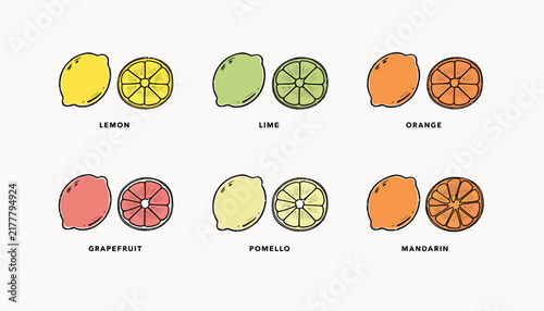 citrus fruits icons set, lemon, lime, orange, grapefruit, pomello, mandarin