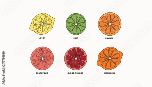 Citrus fruits slices, lemon, lime, orange, grapefruit, blood orange, mandarin