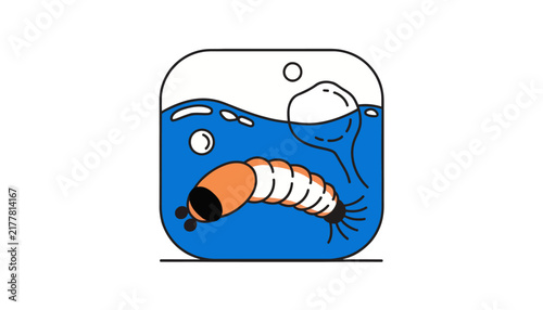 cartoon shrimp in water