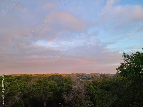 Quadro su tela Panoramic view of lush green forest canopy beneath a soft pastel sunset sky with wispy clouds at golden hour