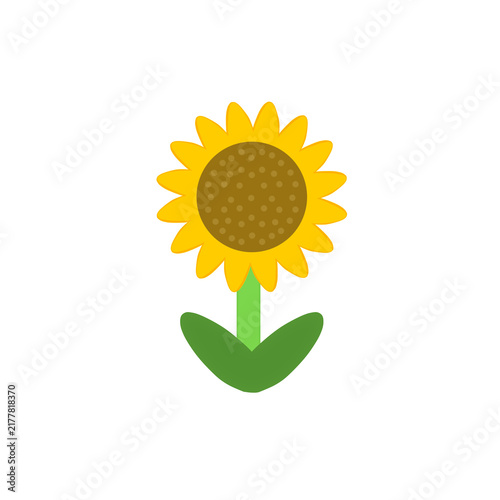 sunflower isolated on white