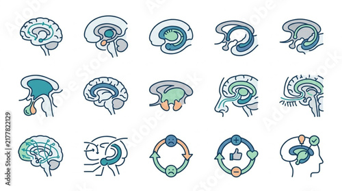 Colorful Illustrated Brain Icons Collection Set.