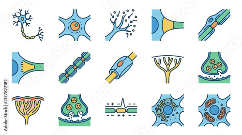 Colorful Illustrated Collection of Various Cell Types.