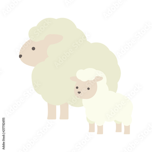 もこもこした親と子どものヒツジが並んだ可愛い親子イラスト