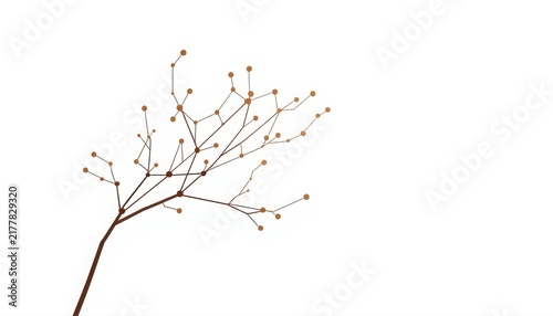 Abstract botanical branch with connection nodes on white background abstract plant data branch digital flora tech nature nodes system organic structure minimalist plant science concept