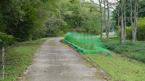 Konstfotografi 遊歩道沿いに植生保護のネットが設置されている様子