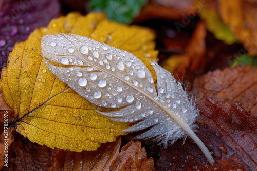 Dew-kissed feather rests on autumn leaves (1)