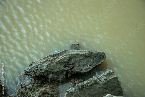 Wet muddy shoreline with rocks meeting murky water.