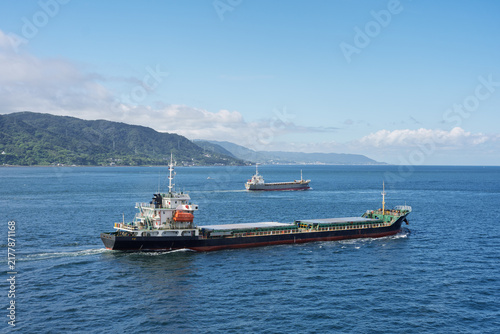 Cargo ships sail in calm coastal waters on sunny day