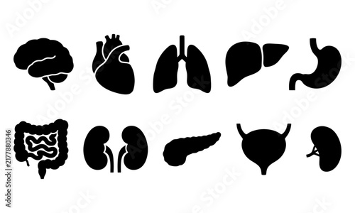 A comprehensive black silhouette icon set featuring a detailed human body parts bundle for medical and educational design projects