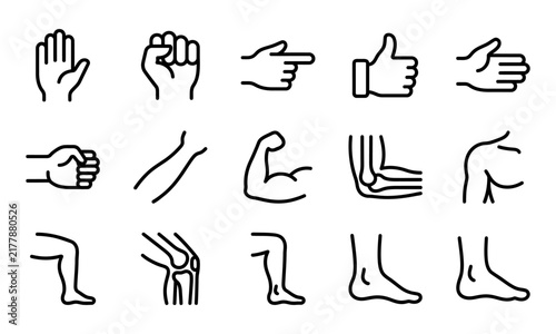Set of black and white outline icons representing a comprehensive human body parts bundle for medical and educational design
