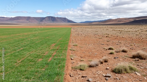 Green cultivated field meets dry arid land under a vast sky.