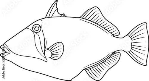 Precise black and white line art triggerfish illustration isolated
